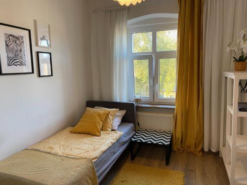 Lemuria Hostel Szkolna centrum, Legnica