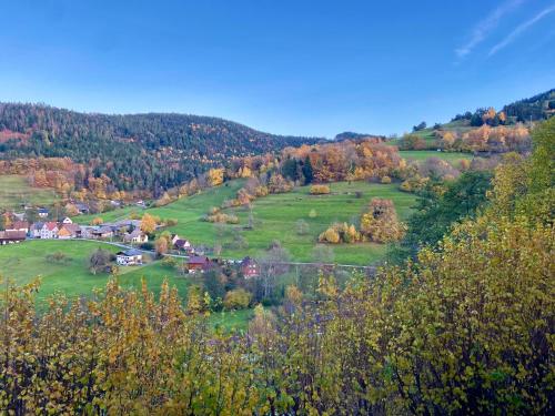Duplex L'épicéa avec vue panoramique (Duplex L'epicea avec vue panoramique) in Breitenbach-Haut-Rhin