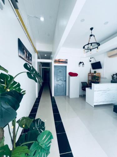 Limetree Loft Guesthouse - Patong Beach