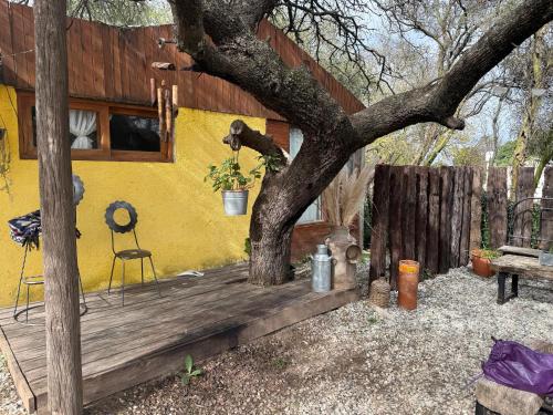 Cab19,Anisacate in Anisacate