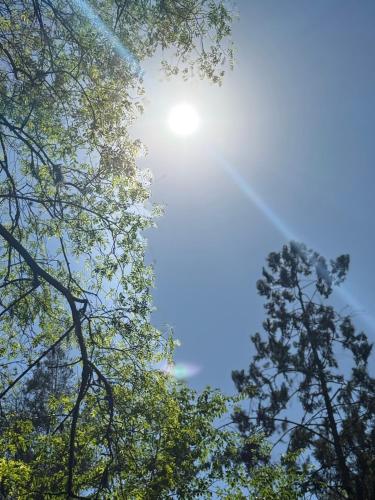 Cab19,Anisacate in Anisacate