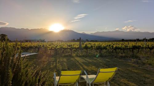 Skats, Casa Premium - Finca Rosablanca, viña y montaña (Casa Premium - Finca Rosablanca, vina y montana) in Vista Flores