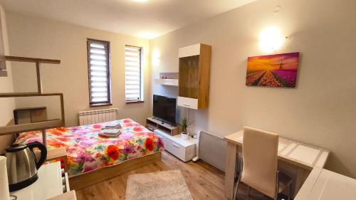 Tulip Studio Deluxe, Grand Resort Pamporovo, 