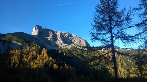 Ferienhaus Mounty - image 7