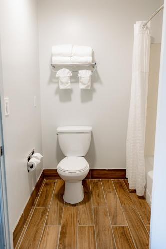 Quality Inn & Suites Lathrop - image 12