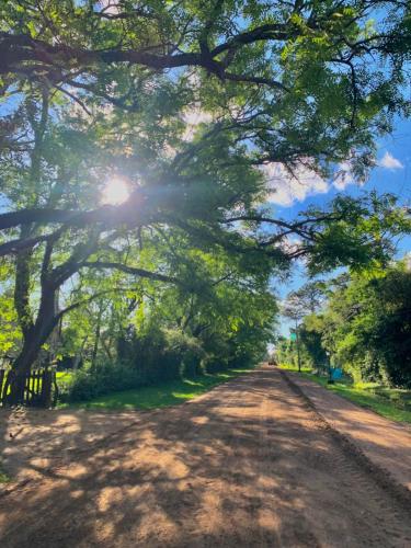 Che Cambá (Che Camba) in 哥洛尼亞卡洛斯佩萊格里尼