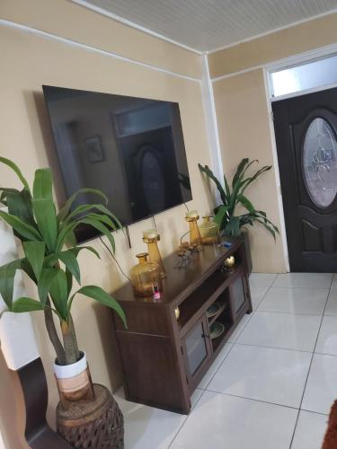 Ashmak apartment in Canefield