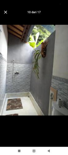 Mangosteen House - Photo 3 in Bali, Indonesia