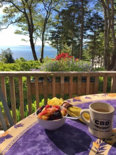 Rõdu/terrass, Charming Cottage Rental with Breathtaking Ocean Views on Peaks Island, Maine in Peaks Island (ME)