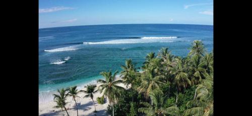 Lances right Surfhouse - Sipora Sel.