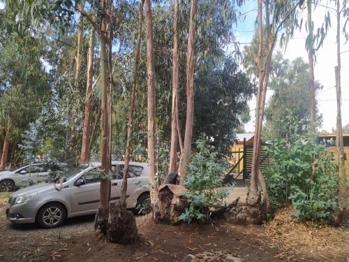 Cabaña entre eucaliptos en Huaquén 3D 1B más patio (Cabana entre eucaliptos en Huaquen 3D 1B mas patio) in ซาปายาร์