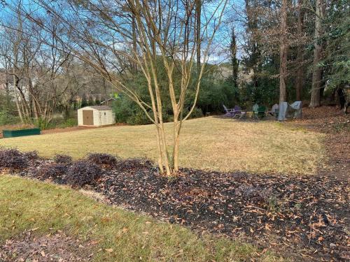 Mid-Century Modern Woodstock, GA in 伍德斯托克