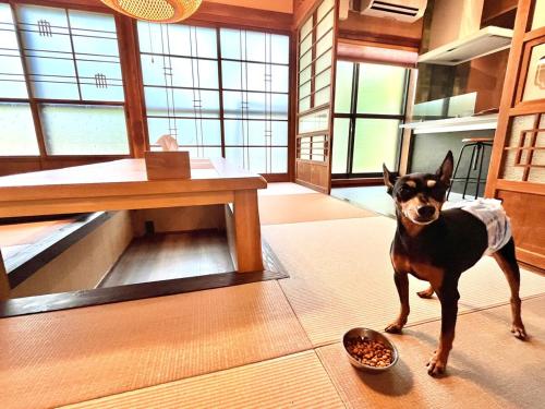 Anju KAGUYA 香宮宿