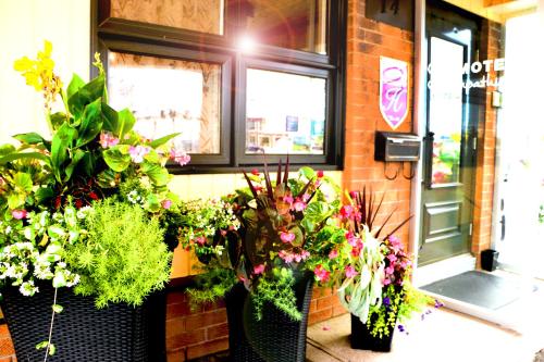 Motel Centre-Ville - Accommodation - Montmagny