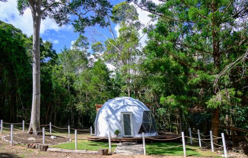 Peaceful off-grid stay surrounded by nature
