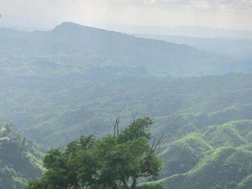 Sheari Cottage, Sajek Valley in Rangamati