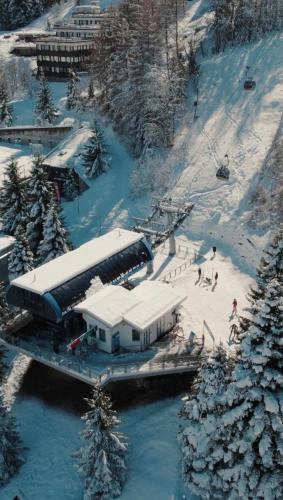 RESIDENZA ALBARÉ - Accommodation - Marilleva