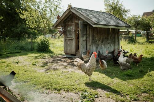!!NUR!! Campingplatz - keine Zimmer - Biohof Dimper in Saulgrub