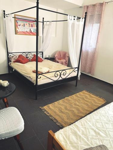 Valencia in Vinogradarski kraj