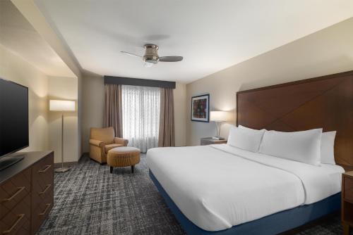Embassy Suites Laredo - image 11