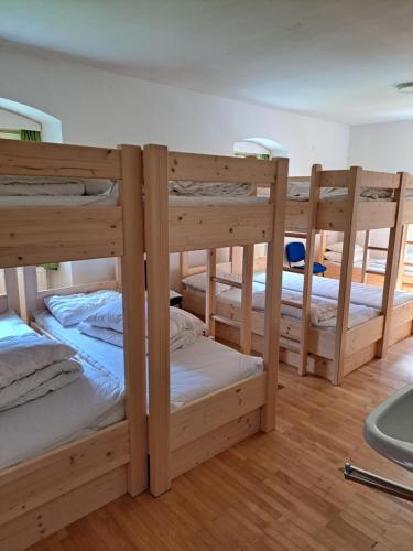 Life Camp Room Type - Standard Family Room