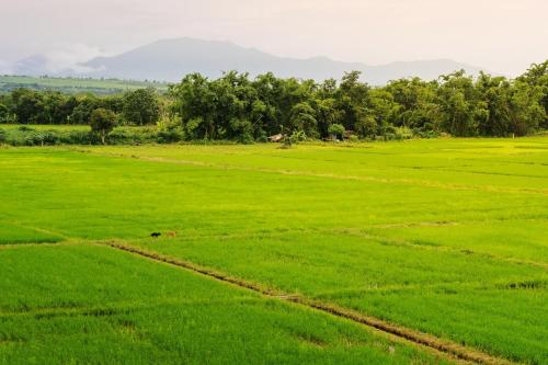 Exterior view, KYP Hotel (โรงแรมขุนยูวเพลส) in Fang