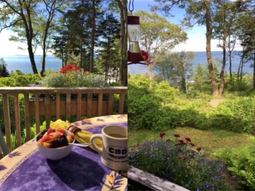 Charming Cottage Rental with Breathtaking Ocean Views on Peaks Island, Maine in Peaks Island (ME)