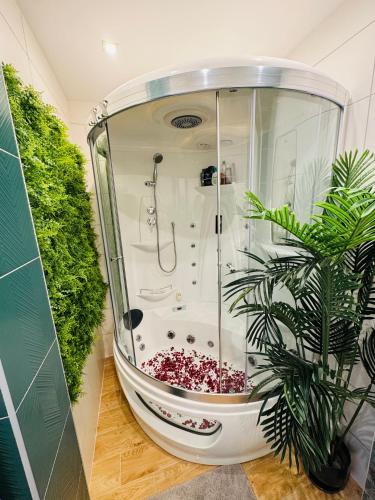 Twoje prywatne SPA - jacuzzi, sauna, tężnia solankowa, Kraków