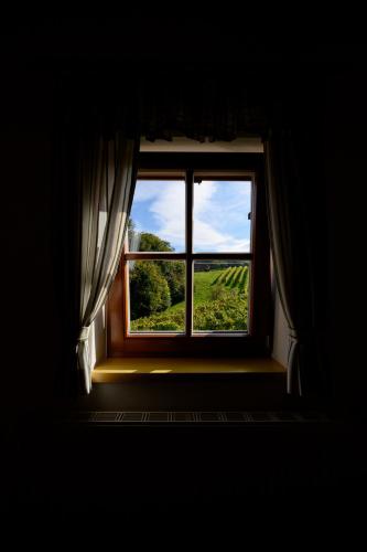 Kilátás, Weingut Schwarzl in Ratsch An Der Weinstrasse
