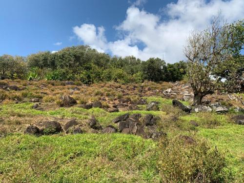 المنطقة المحيطة, Apartment in Montagne Charlot with stunning view of the lagoon in Port Mathurin