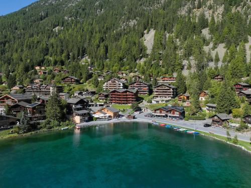 Apartment Parc C013 by Interhome in Champex