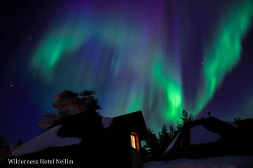 Wilderness Hotel Muotka & Igloos - image 12