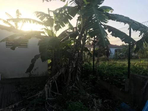 Studio cosy avec vue sur le jardin in 聖玫瑰