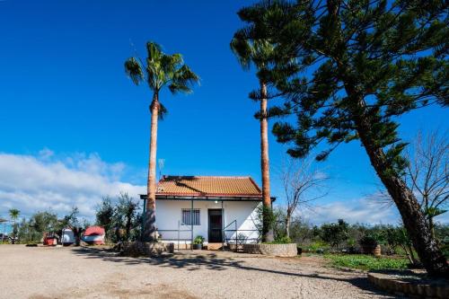 ทัศนียภาพภายนอกโรงแรม, El Paraíso Del Olivar (El Paraiso Del Olivar) in เบนาคาซอน