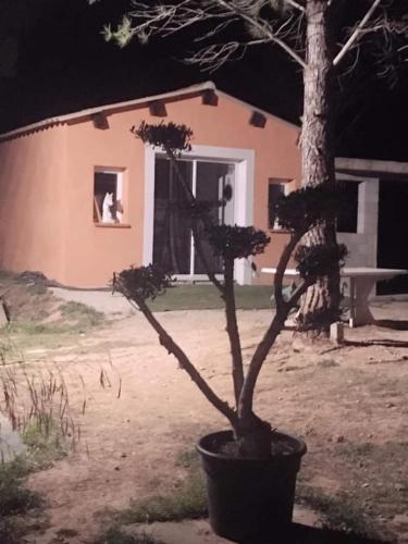 Studio Églantine - Location, gîte - Lorgues