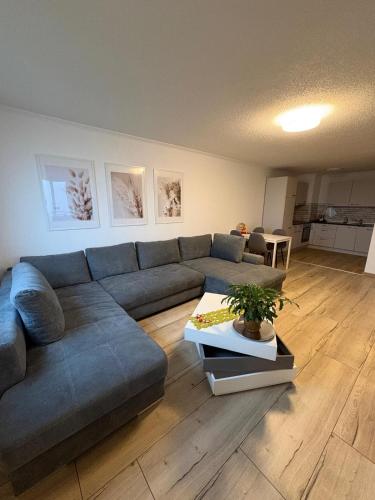Apartment O&V 2 in Waldshut-Tiengen