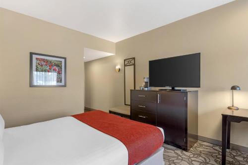 Best Western Plus Plaza by the Green - image 9