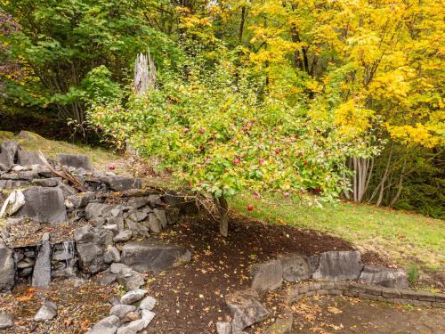 Custom Crafted Forest Retreat with Pond on 5 Acres - image 14