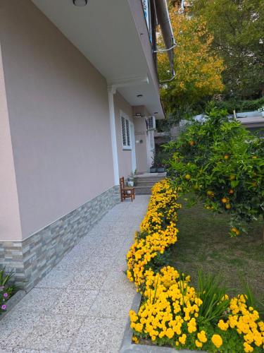 Green Oasis, Tirana