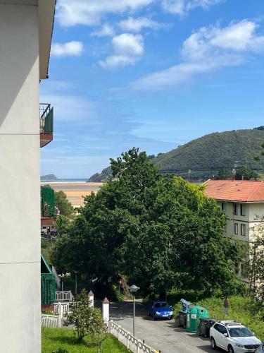 APARTAMENTOS URDAIBAI 4 in Busturia