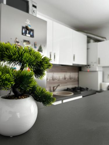Apartament Cosmina's Dream – khách sạn tại Arhitectilor