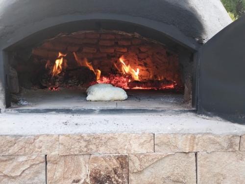 Espectacular Casa Quinta con Viñedo y Piscina privada en San Rafael Mendoza (Espectacular Casa Quinta con Vinedo y Piscina privada en San Rafael Mendoza) in Salto de las Rosas