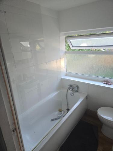 Constable Road in Moffat