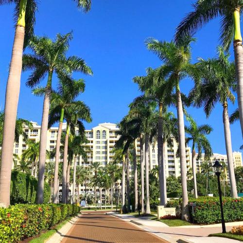 外部景觀, Modern Miami Suite Near the Beach in 海灘地區