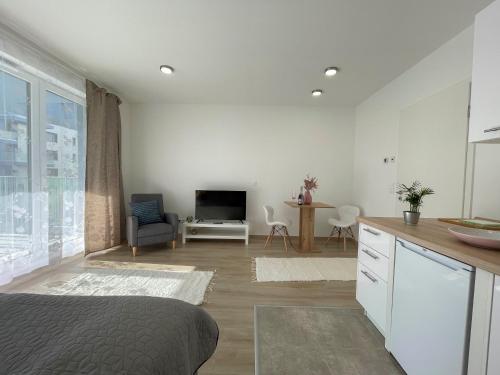 Bright Riverside Studio, Balcony, Free Parking, Air Conditioning, Budapešť (fotografie 5)