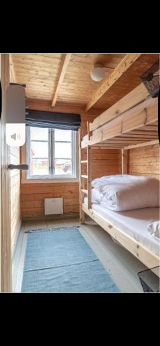 Stinebua in Stamsund