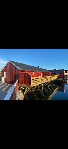 Stinebua in Stamsund