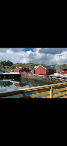 Stinebua in Stamsund