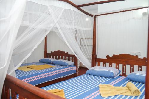 Family Room with Balcony - 15% Discount on Whale Watching image 8