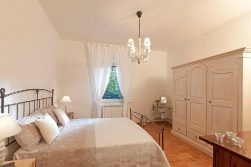 Borgo Iris - Wine Farm in Cortona in Centoia